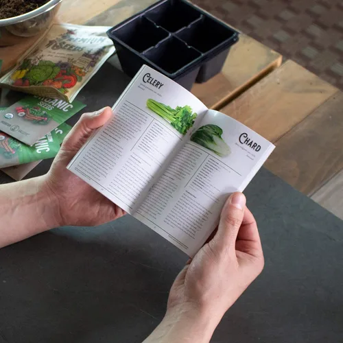 Miniatura 4 de Semillas de verduras sin OGM, jardín de supervivencia, bóveda de semillas de emergencia, 34 variedades, bolsa de insectos: remolacha, brócoli