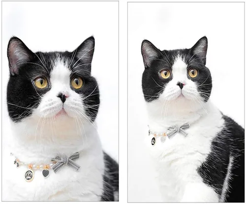Miniatura 3 de Collar de moda para mascotas, accesorios de collar de corona de perlas de gato, adornos para peluche - collar de joyería