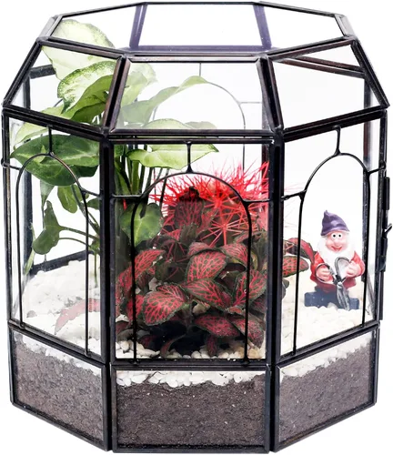 REDHUGO Terrario grande de vidrio hecho a mano, caja de exhibición central, maceta de regalo, contenedores para terrarios de interior, casa para