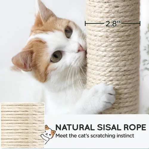Miniatura 6 de Yaheetech Árbol resistente de 54 pulgadas para gatos grandes, condominio de gatitos de varios niveles con postes rascadores, hamaca y percha