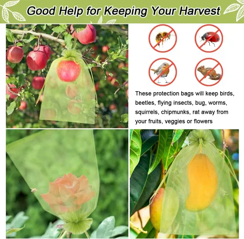 Miniatura 5 de 100 piezas Bolsas de Protección de Frutas 8x12 pulgadas, Bolsas de Cobertura de Malla Verde con Cordón Protectores de Malla para Frutas Barrera