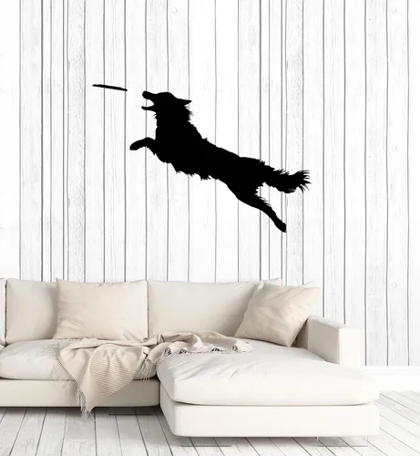 Vinilo grande para pared, diseño de disco de perro, tienda de mascotas, decoración de animales, pegatinas de arte mural (ig5642), color negro