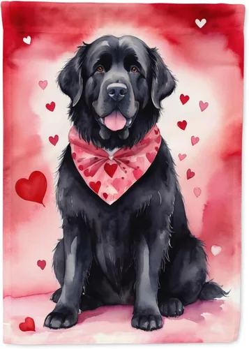 Miniatura 18 de Caroline's Treasures DAC5292CHF - Bandera de Border Collie My Valentine House para porche, grande, con manga para porche, para colgar en la pared