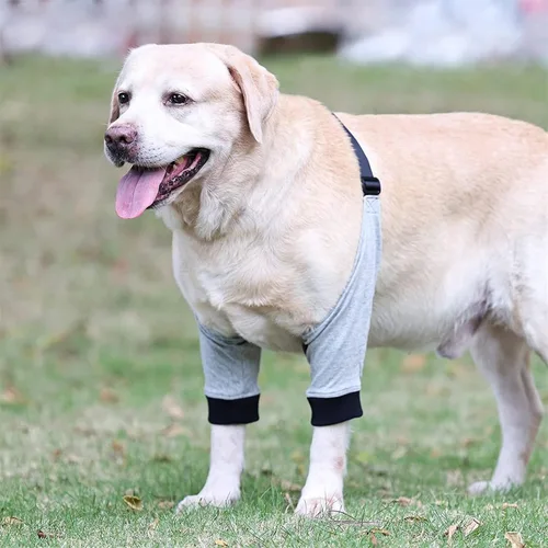 Miniatura 2 de Coderas para perros, coderas y soporte para el hombro, soporte para la pierna delantera del perro para la rehabilitación de lesiones, cirugía