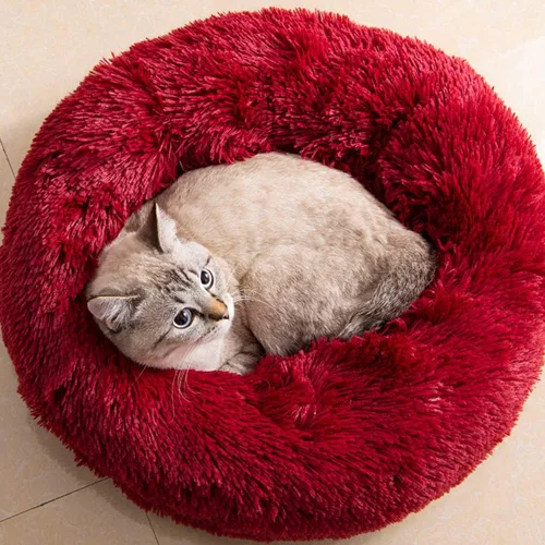Miniatura 9 de Camas para gatos de interior – Cama para gatos lavable de 20/24 pulgadas, camas para perros pequeños y medianos, antiansiedad, cama redonda de felpa