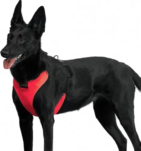 Miniatura 13 de YAP Techno® - Arnés para perro sin tirones, ajustable en 4 direcciones, arnés de chaleco para perro con control de temperatura, arnés para perro sin