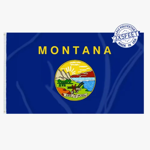 Miniatura 9 de AMZFLAG Wyoming State Flag 3x5 ft Outdoor, Heavy Duty WY Wyoming Flags with 2 Brass Grommets, Patriotic Double Sided State of Wyoming Flag 3 Ply