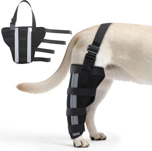 Miniatura 10 de Rodilleras ortopédicas para perros, rodillera para perro para ligamento cruzado y soporte de pierna trasera, soporte canino para recuperación