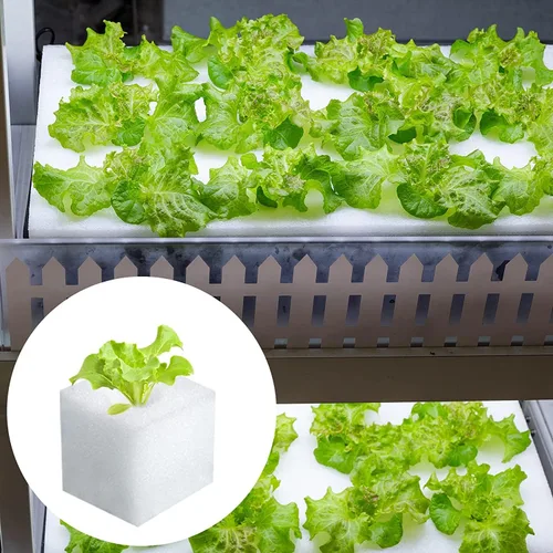 Miniatura 2 de 600 esponjas hidropónicas, herramienta de jardinería, cultivo sin suelo, esponjas de plántulas, esponja de cultivo invernadero para crecimiento