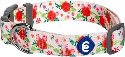 Miniatura 12 de Blueberry Pet 10+ Patrones Primavera Aroma Floral Collares, Collares Personalizados Turquesa