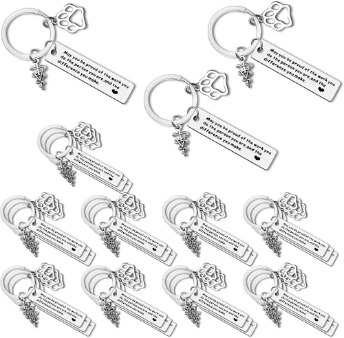 Dabihu Vet Tech Keychain Veterinarian Appreciation Gifts Thank You Gifts for Veterinary Tech Coworker Animal Rescue Gifts