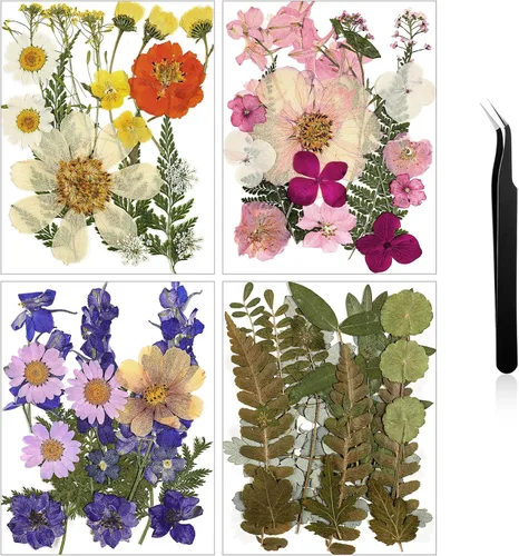 Miniatura 30 de Nuanchu Flores secas prensadas negras para manualidades, flores secas góticas, flores silvestres prensadas naturales a granel con pinzas para molde