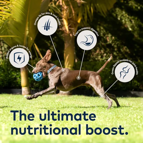 Miniatura 4 de ZIWI Peak - Alimento húmedo enlatado para perros, totalmente natural, alto en proteínas, sin granos, ingredientes limitados, con superalimentos