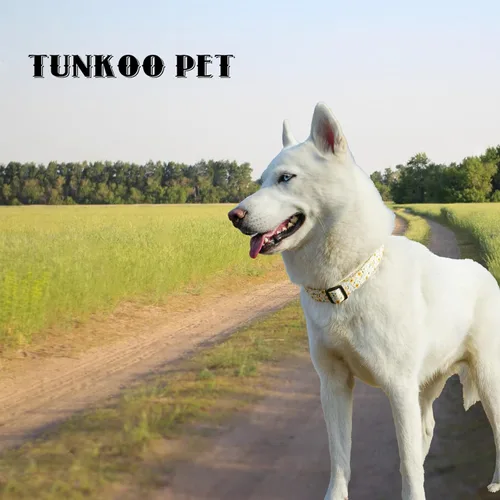 Miniatura 5 de Tunkoo Collar de perro de flores de margarita, bonito collar floral ajustable para perros machos y hembras con hebilla de plástico fuerte