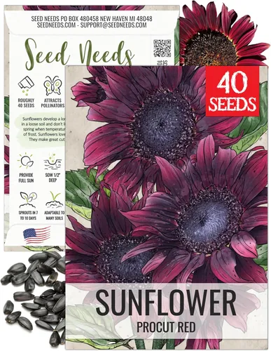 Miniatura 18 de Seed Needs Semillas de girasol para plantar girasoles de manchas solares enanas, semillas de flores de corte anual de polinización abierta