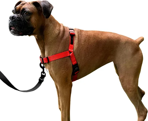 Miniatura 7 de ShawnCo Dream Walk Arnés para Perros Sin Tirones - Ajustable, Cómodo, Fácil de Usar, Cabestro para Mascotas para Ayudar a Detener los Tirones