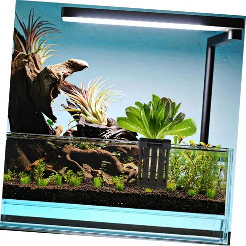 Miniatura 3 de Ipetboom Soporte colgante para plantas de acuario, 4 piezas, maceta acuática con gancho, plantas acuáticas para acuario, plantas de agua para As
