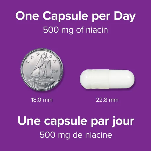 Miniatura 5 de Webber Naturals Cápsula de vitamina B3 de niacina sin enjuague, 500 mg 90