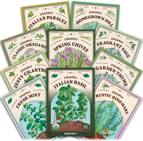 Seedboy Paquete variado de 10 hierbas orgánicas sin OGM: albahaca, cilantro, menta, orégano, perejil, tomillo, cebollino, eneldo, salvia, romero