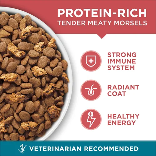 Miniatura 7 de Purina ONE Alimento seco natural para gatos, mezcla Tender Selects con salmón real, bolsa de 22 libras
