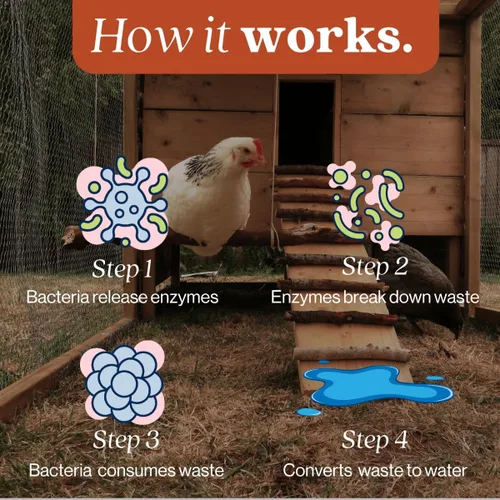 Miniatura 6 de Eco Strong Coop Refresher - Eliminador de olores de gallinero para pollos (32 onzas)