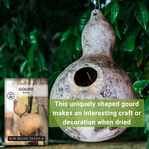 Miniatura 5 de Sow Right Seeds - Semilla de calabaza en botella para plantar - Paquete de reliquia sin OMG con instrucciones para plantar y cultivar un huerto