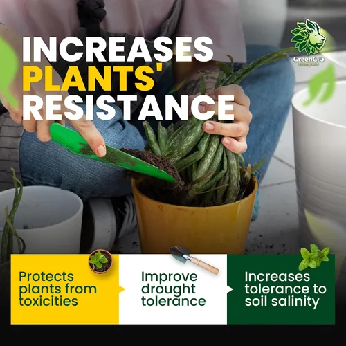 Miniatura 4 de GreenGro Granular Plus Myco, fertilizante todo en uno con algas y ácido húmico para plantas, estimulador orgánico de raíces para plantas