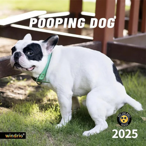 Miniatura 14 de Calendario de pared 2026, Calendario divertido 2026, noviembre de 2025 - diciembre de 2026, calendario de pared con memes divertidos de animales, 12