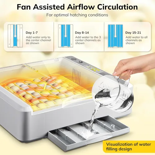 Miniatura 5 de Incubadora de huevos 36-60 con giro automático de huevos y control de humedad, incubadora de huevos de pollo con pantalla digital, incubadoras