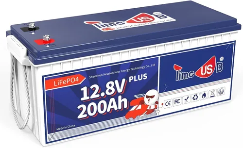 Timeusb LiFePO4 Batería de 12 V 200 Ah Plus, batería de ciclo profundo con potencia de salida máxima de 2560 W, batería de litio integrada de 200 A