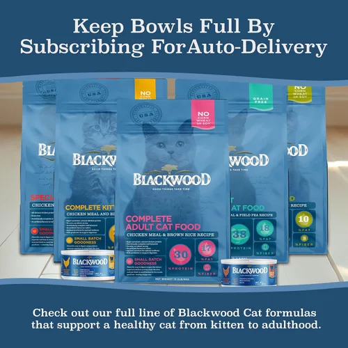 Miniatura 8 de Blackwood Alimento seco para gatos, fórmula para adultos, receta de harina de pollo y arroz integral, bolsa de 4 libras, alta en proteínas, cocción