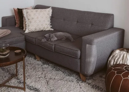 Miniatura 5 de LAMINET Los protectores originales de arañazos para gatos de lujo, protege tus muebles con nuestros protectores contra arañazos para muebles de alta