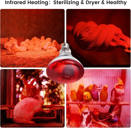 Miniatura 4 de Lámpara de calor para gallinas, gallinero, incubador y bombilla de calor para reptiles, 150 vatios, luz roja infrarroja