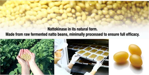 Miniatura 3 de PHARMAKON Nattokinase, Cápsulas Blandas Biodisponibles, Extracto de Soja Orgánica Fermentada, 6000 FU por Porción
