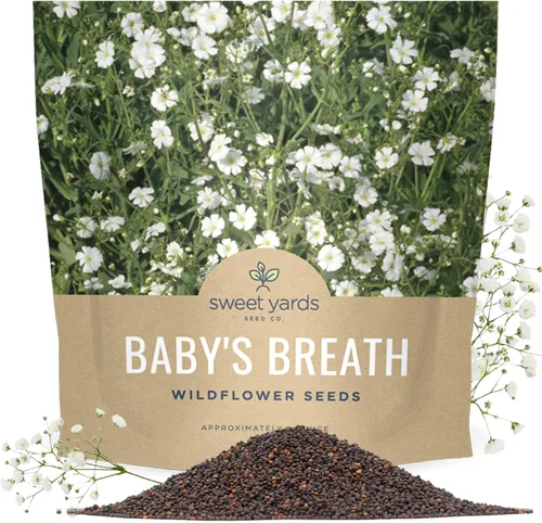 Miniatura 10 de Semillas de Gypsophila elegans de Baby's Breath vistosas – Bolsa a granel de un cuarto de libra – Más de 80.000 semillas de flores silvestres