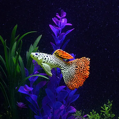 Miniatura 9 de GLOGLOW Peces luminosos, peces artificiales - 4 piezas para oficina, hogar, jardín acuario