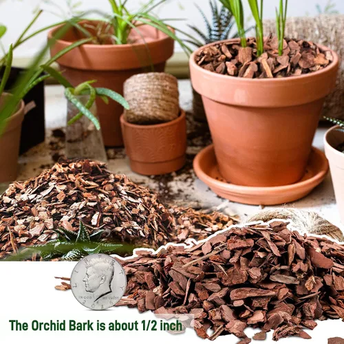 Miniatura 3 de Corteza orgánica para macetas de orquídeas de 3 cuartos - Mantillo natural para plantas en maceta, desarrollo de raíces de plantas de orquídeas