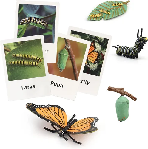Miniatura 9 de Figuras del Ciclo de Vida de Animales Montessori con Tarjetas Flash, Juguetes de Figuritas de Animales Realistas, Juego Educativo de Emparejamiento
