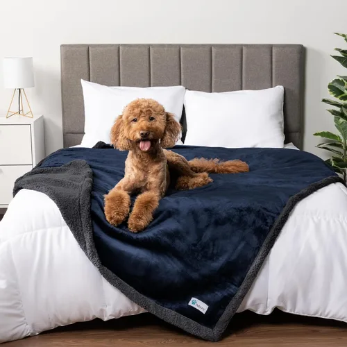 Miniatura 24 de PetAmi - Manta impermeable para perros medianos, cachorros, gatos pequeños Manta suave de forro polar Sherpa para mascotas, para sofá, sofá, funda