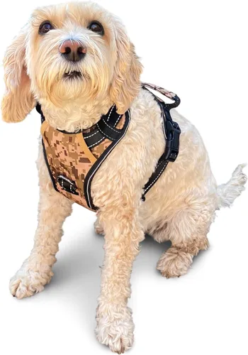 Miniatura 23 de Arnés antitirones para perro pequeño con 2 hebillas de liberación rápida y mango de fácil control, chaleco suave reflectante sin estrangulamiento