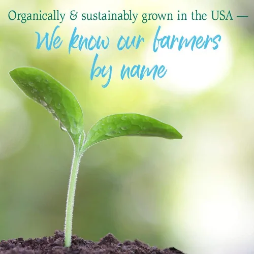 Miniatura 6 de Garden of Life Raw Organic Perfect Food 100% orgánico jugo de pasto de trigo de Estados Unidos – Polvo de superalimentos verdes en jugo, 60