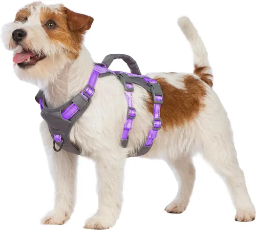 Huntboo Arnés reflectante para perro con asa, a prueba de escape, antideslizante, transpirable, ligero, arnés de elevación ajustable para perros