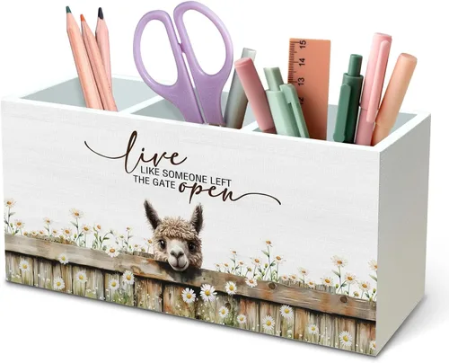 Miniatura 20 de DILSJ Organizador inspirador de 2 compartimentos para lápices, organizador para escritorio, amantes de los pollos regalos para mujeres, Live Like