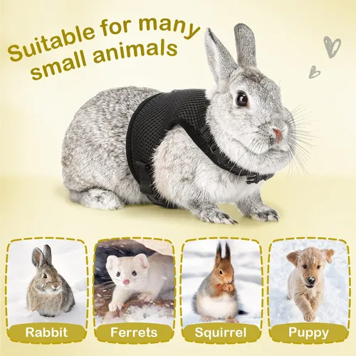 Miniatura 5 de PETTOM Arnés para conejos con correa elástica, lindo arnés ajustable con hebilla, chaleco de malla transpirable para gatitos y mascotas pequeñas