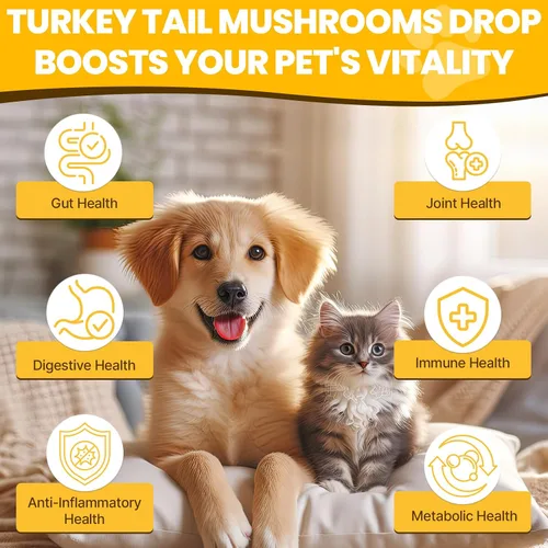 Miniatura 2 de Seta cola de pavo para perros - Absorción más rápida 2000mg de seta cola de pavo para inmunidad y digestión, articulaciones, energía, 5 veces más