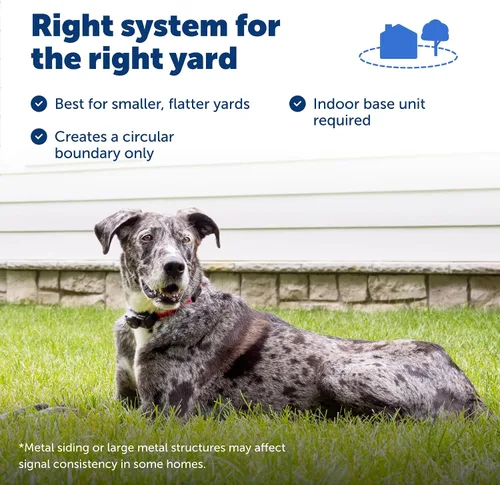 Miniatura 7 de PetSafe Sistema inalámbrico de contención de valla para mascotas, collar receptor solo para perros y gatos de más de 8 libras, resistente al agua