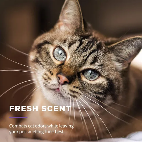 Miniatura 8 de Wet Ones Toallitas multiusos para refrescar mascotas con aloe vera, aroma fresco, toallitas de limpieza para gatos fáciles de usar para el aseo