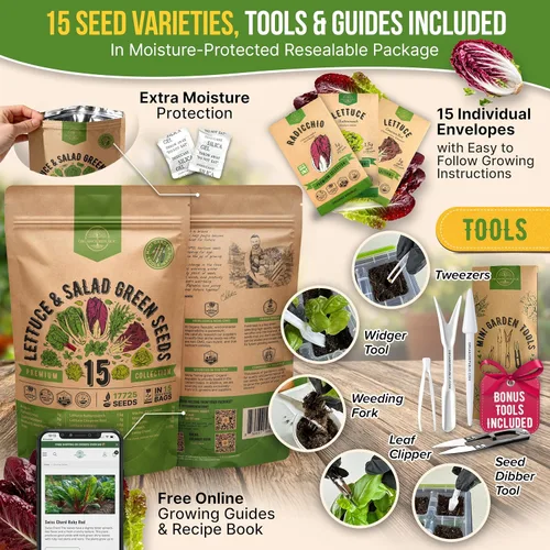 Miniatura 3 de Organo Republic Paquete de variedad de semillas de lechuga y verduras para ensalada de 15 tipos, más de 17700 semillas de lechuga autóctonas sin OGM