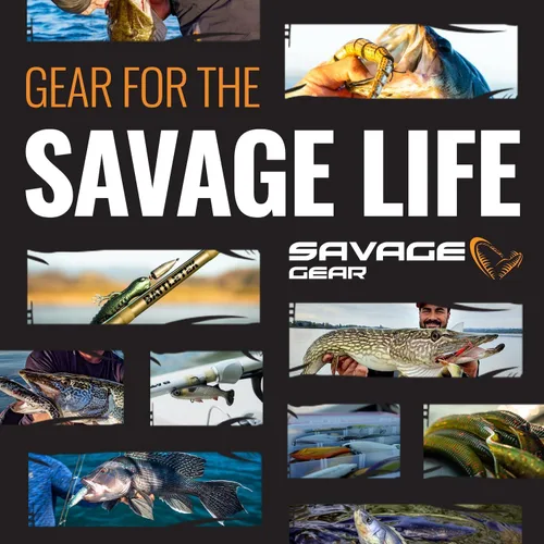 Miniatura 6 de Savage Gear Sandeel plateado (Dirty Silver)