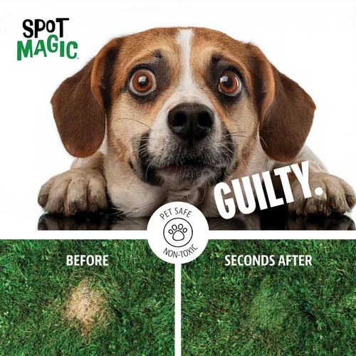 Miniatura 7 de Spot Magic por Mark & Phil's - Colorante en aerosol instantáneo verde para césped, 24 onzas, seguro para mascotas y niños, no tóxico y resistente a